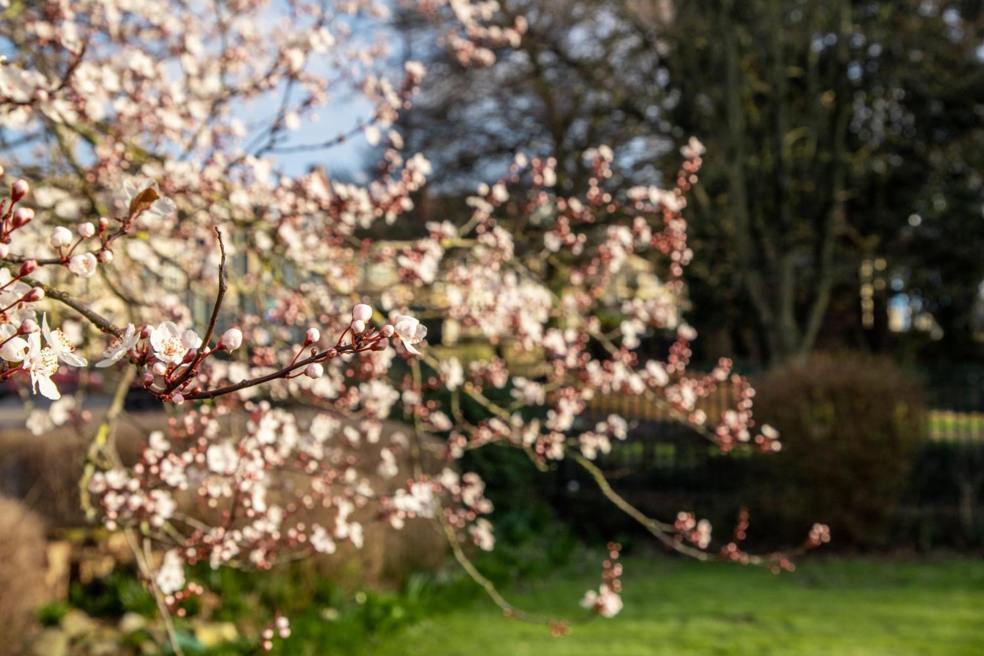 Arnos Manor Hotel Bristol Eksteriør bilde